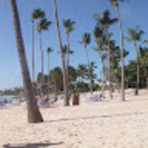 Meet your Posher, Naz